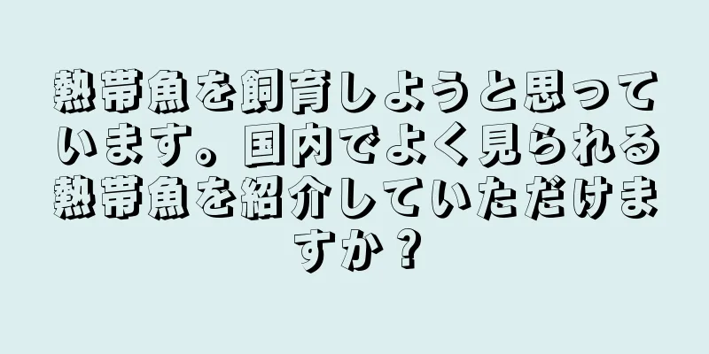 熱帯魚を飼育しようと思っています。国内でよく見られる熱帯魚を紹介していただけますか？