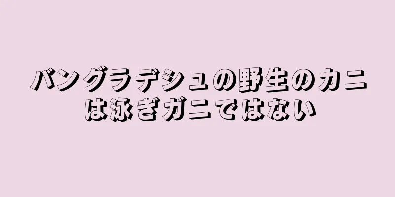 バングラデシュの野生のカニは泳ぎガニではない