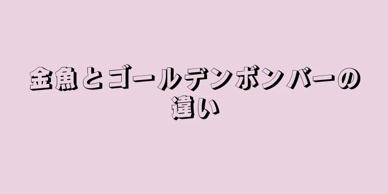 金魚とゴールデンボンバーの違い