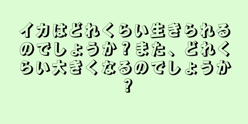 イカはどれくらい生きられるのでしょうか？また、どれくらい大きくなるのでしょうか？