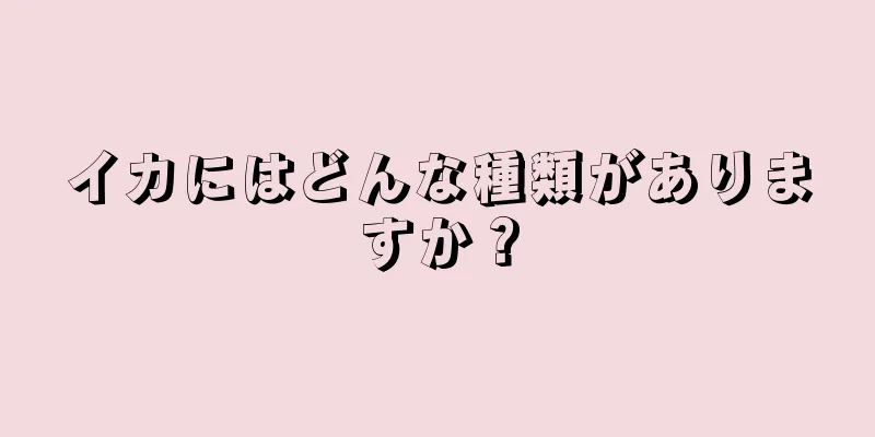 イカにはどんな種類がありますか？