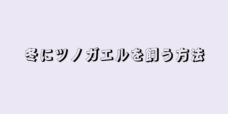 冬にツノガエルを飼う方法