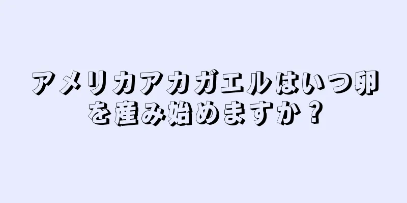 アメリカアカガエルはいつ卵を産み始めますか？
