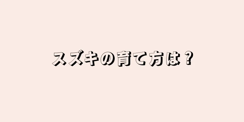 スズキの育て方は？