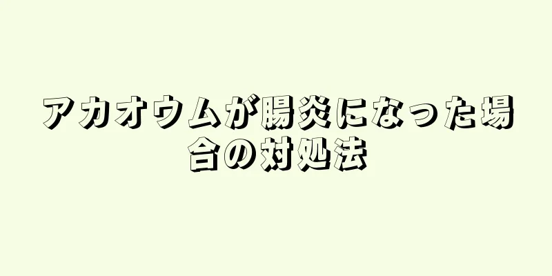 アカオウムが腸炎になった場合の対処法