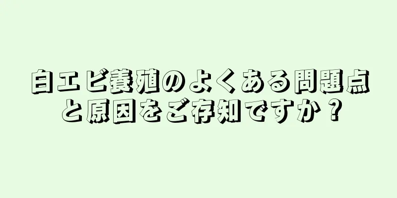 白エビ養殖のよくある問題点と原因をご存知ですか？