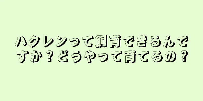 ハクレンって飼育できるんですか？どうやって育てるの？