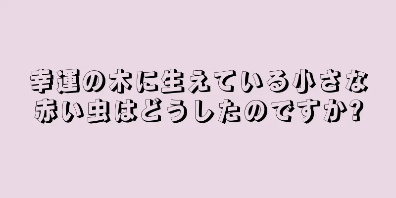 幸運の木に生えている小さな赤い虫はどうしたのですか?