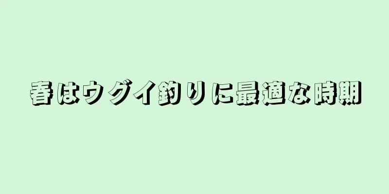 春はウグイ釣りに最適な時期