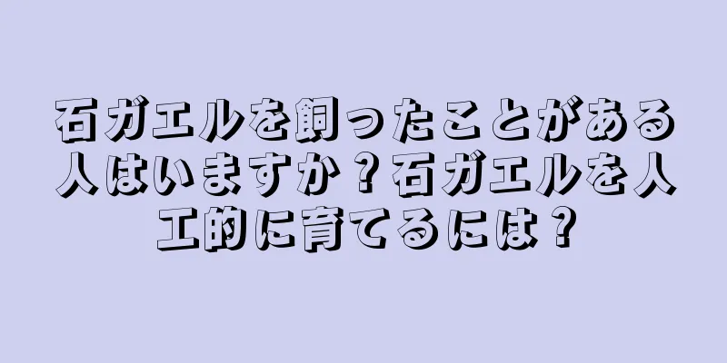 石ガエルを飼ったことがある人はいますか？石ガエルを人工的に育てるには？