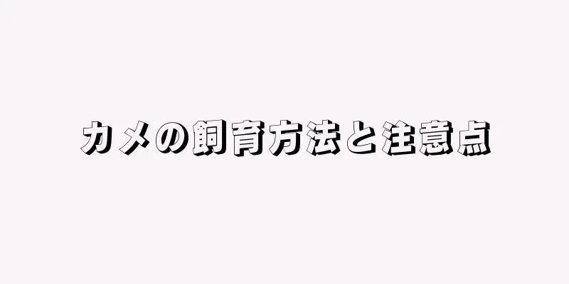 カメの飼育方法と注意点