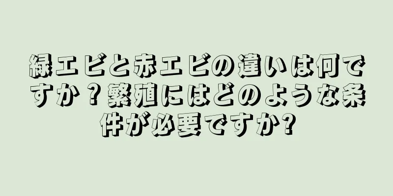 緑エビと赤エビの違いは何ですか？繁殖にはどのような条件が必要ですか?