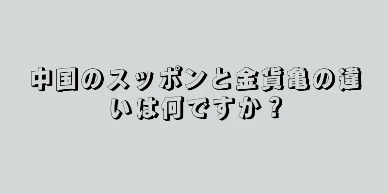 中国のスッポンと金貨亀の違いは何ですか？