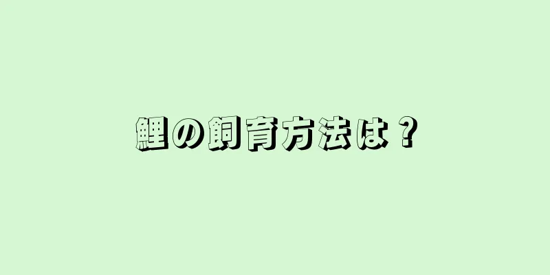 鯉の飼育方法は？