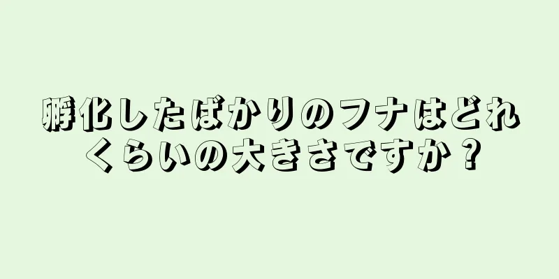 孵化したばかりのフナはどれくらいの大きさですか？