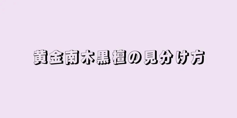 黄金南木黒檀の見分け方