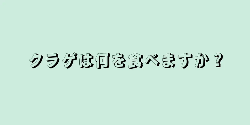 クラゲは何を食べますか？