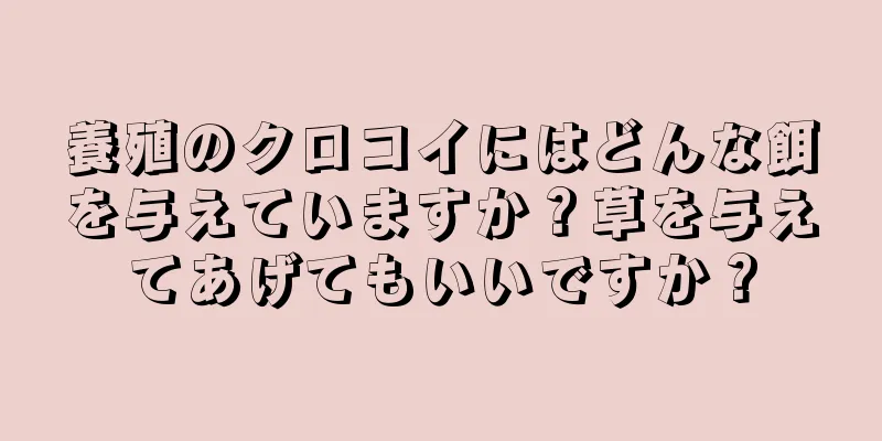 養殖のクロコイにはどんな餌を与えていますか？草を与えてあげてもいいですか？