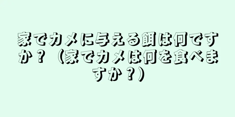家でカメに与える餌は何ですか？（家でカメは何を食べますか？）