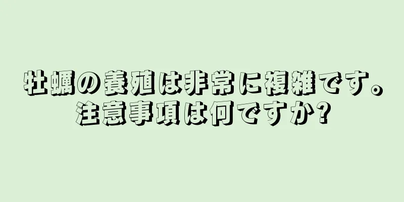 牡蠣の養殖は非常に複雑です。注意事項は何ですか?