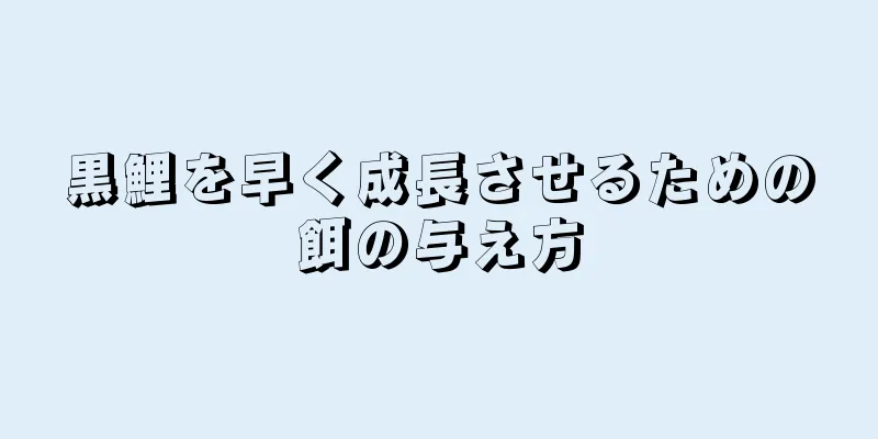 黒鯉を早く成長させるための餌の与え方