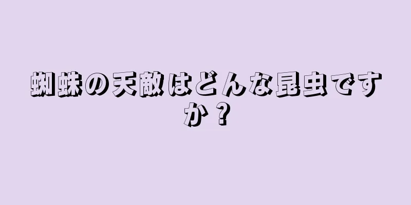 蜘蛛の天敵はどんな昆虫ですか？