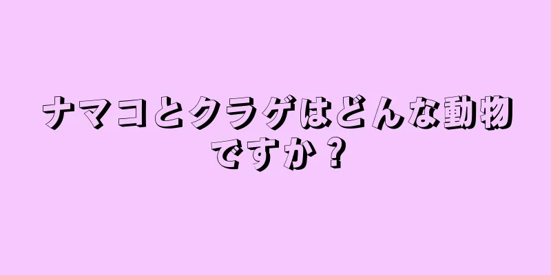 ナマコとクラゲはどんな動物ですか？