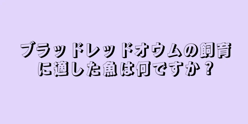 ブラッドレッドオウムの飼育に適した魚は何ですか？