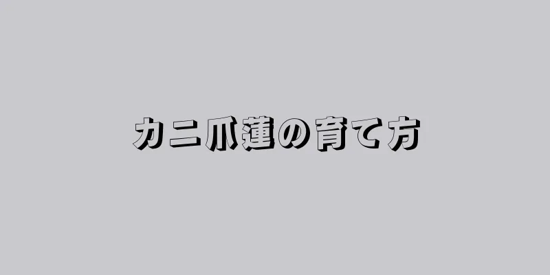 カニ爪蓮の育て方