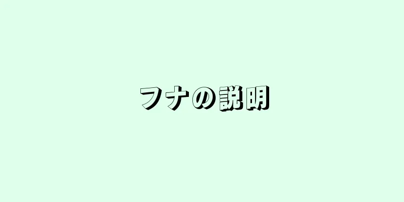 フナの説明