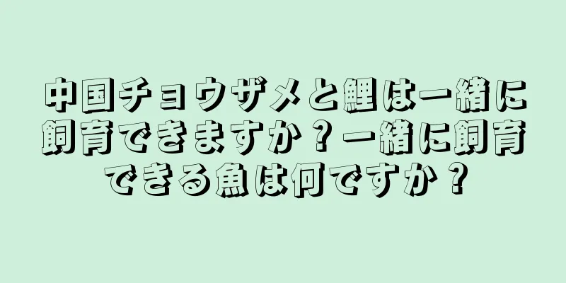 中国チョウザメと鯉は一緒に飼育できますか？一緒に飼育できる魚は何ですか？