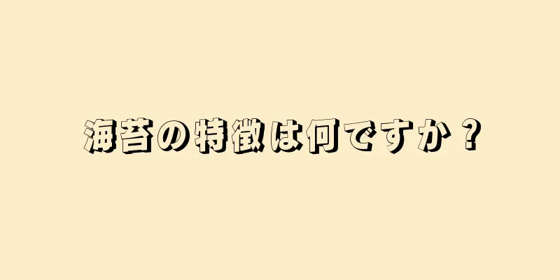 海苔の特徴は何ですか？