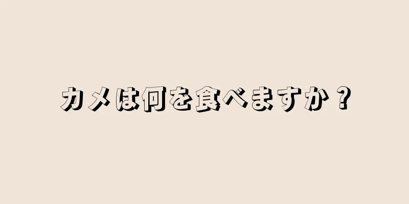カメは何を食べますか？