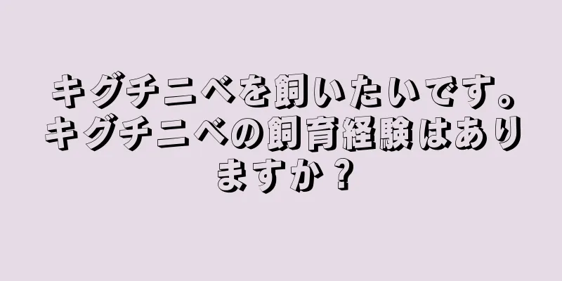 キグチニベを飼いたいです。キグチニベの飼育経験はありますか？