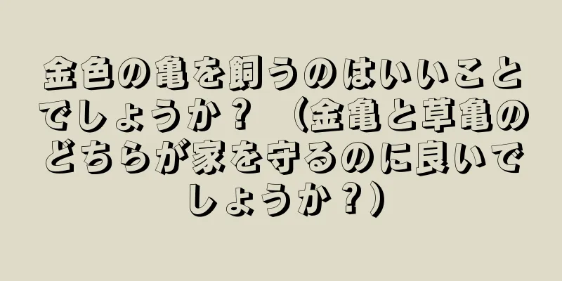 金色の亀を飼うのはいいことでしょうか？ （金亀と草亀のどちらが家を守るのに良いでしょうか？）