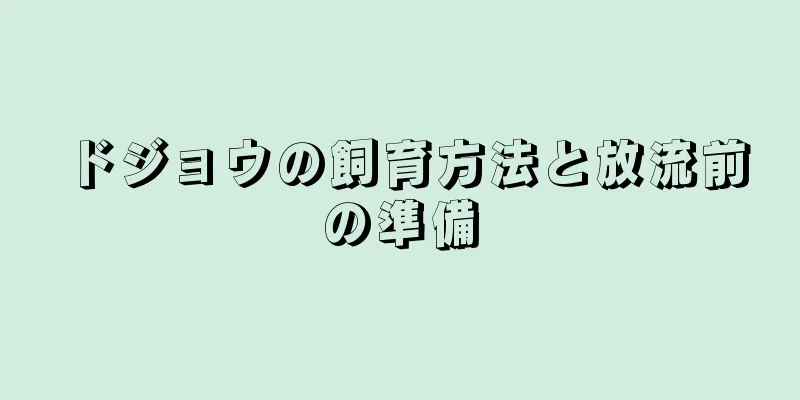 ドジョウの飼育方法と放流前の準備