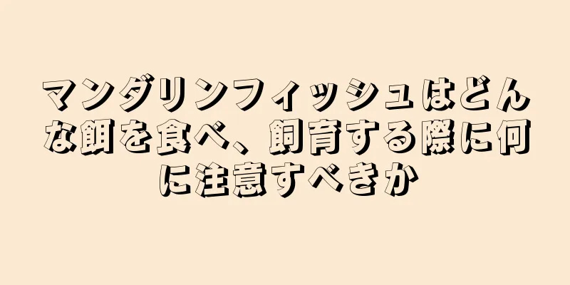 マンダリンフィッシュはどんな餌を食べ、飼育する際に何に注意すべきか