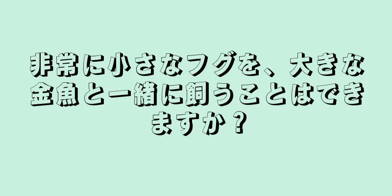 非常に小さなフグを、大きな金魚と一緒に飼うことはできますか？