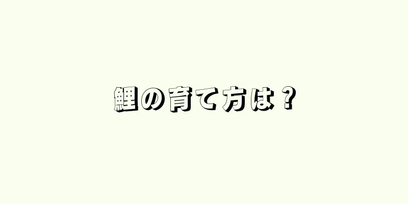 鯉の育て方は？