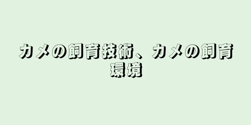カメの飼育技術、カメの飼育環境