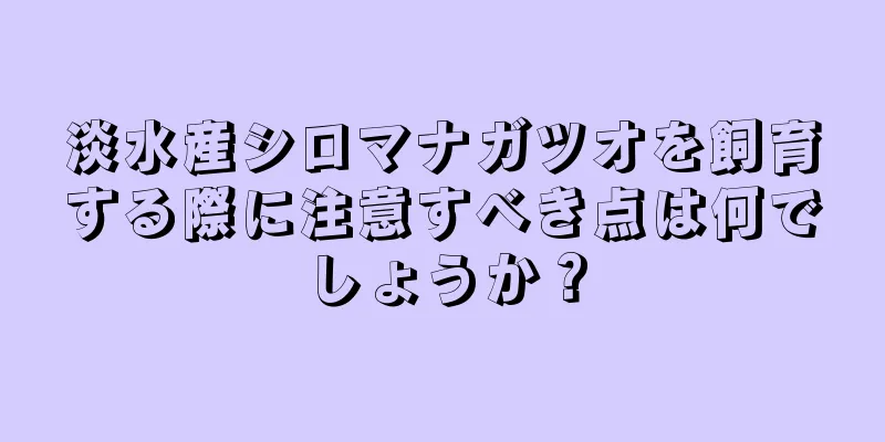 淡水産シロマナガツオを飼育する際に注意すべき点は何でしょうか？