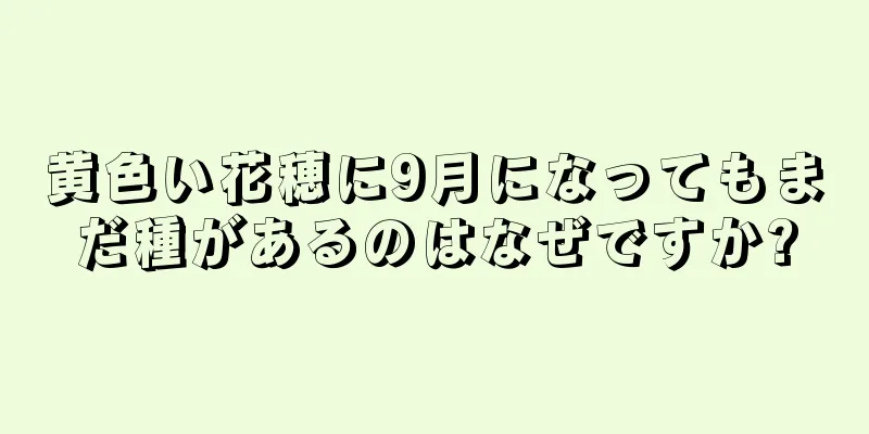 黄色い花穂に9月になってもまだ種があるのはなぜですか?