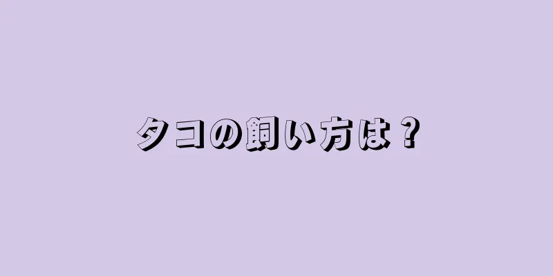 タコの飼い方は？