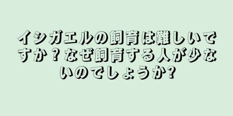 イシガエルの飼育は難しいですか？なぜ飼育する人が少ないのでしょうか?