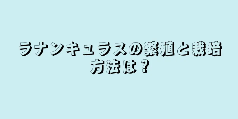 ラナンキュラスの繁殖と栽培方法は？