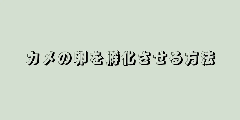 カメの卵を孵化させる方法