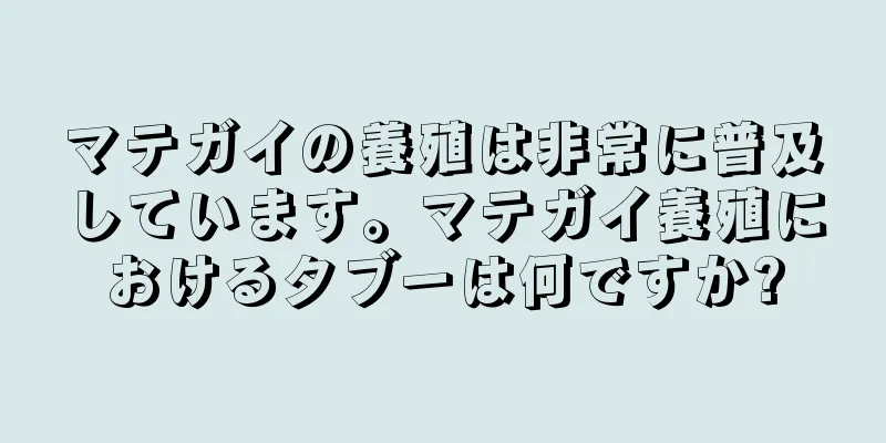 マテガイの養殖は非常に普及しています。マテガイ養殖におけるタブーは何ですか?