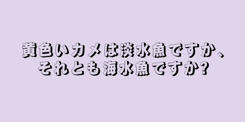 黄色いカメは淡水魚ですか、それとも海水魚ですか?