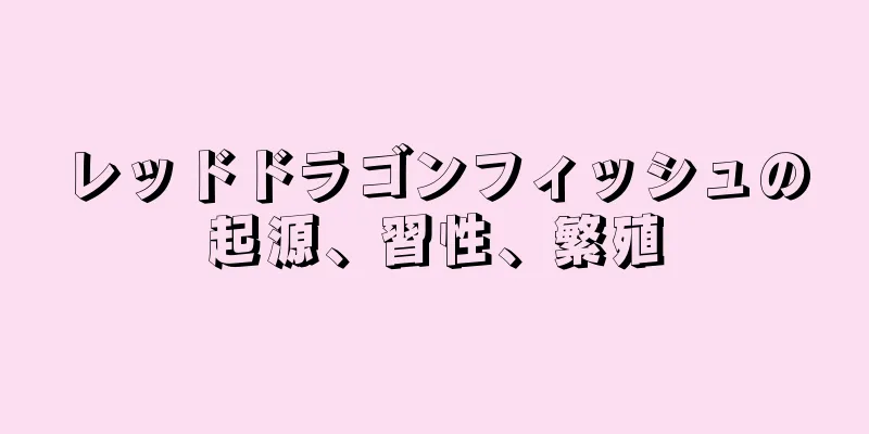レッドドラゴンフィッシュの起源、習性、繁殖