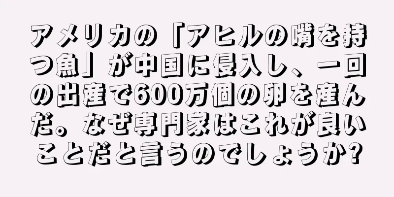 アメリカの「アヒルの嘴を持つ魚」が中国に侵入し、一回の出産で600万個の卵を産んだ。なぜ専門家はこれが良いことだと言うのでしょうか?